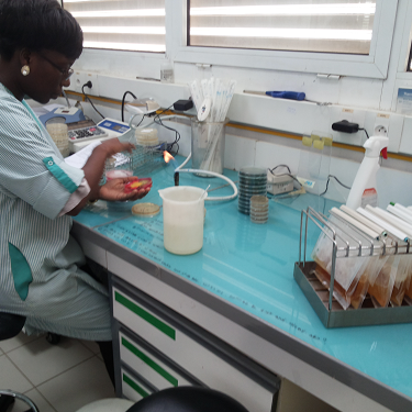 Microbiology laboratory assessment (Cabo Verde)